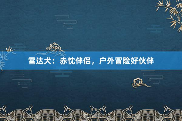 雪达犬：赤忱伴侣，户外冒险好伙伴