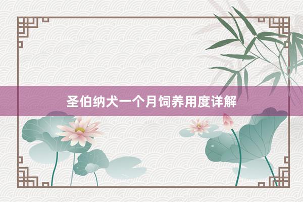 圣伯纳犬一个月饲养用度详解